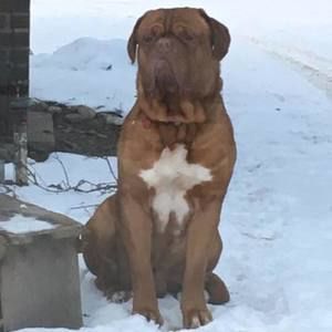 Meet your Posher, Brian